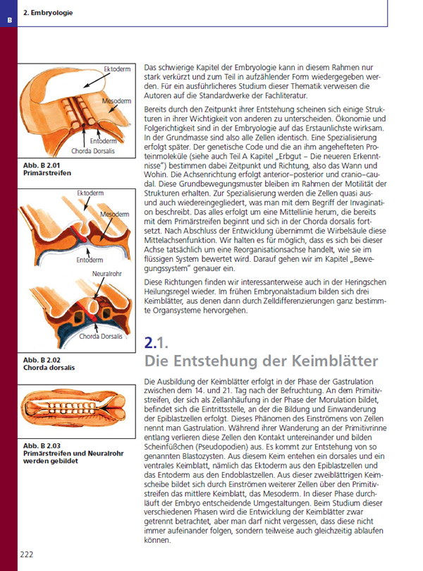 Leseprobe: Teil B | Kapitel 2 | Embryologie