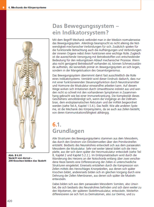 Leseprobe: Teil B | Kapitel 6 | Mechanik der Körpersysteme